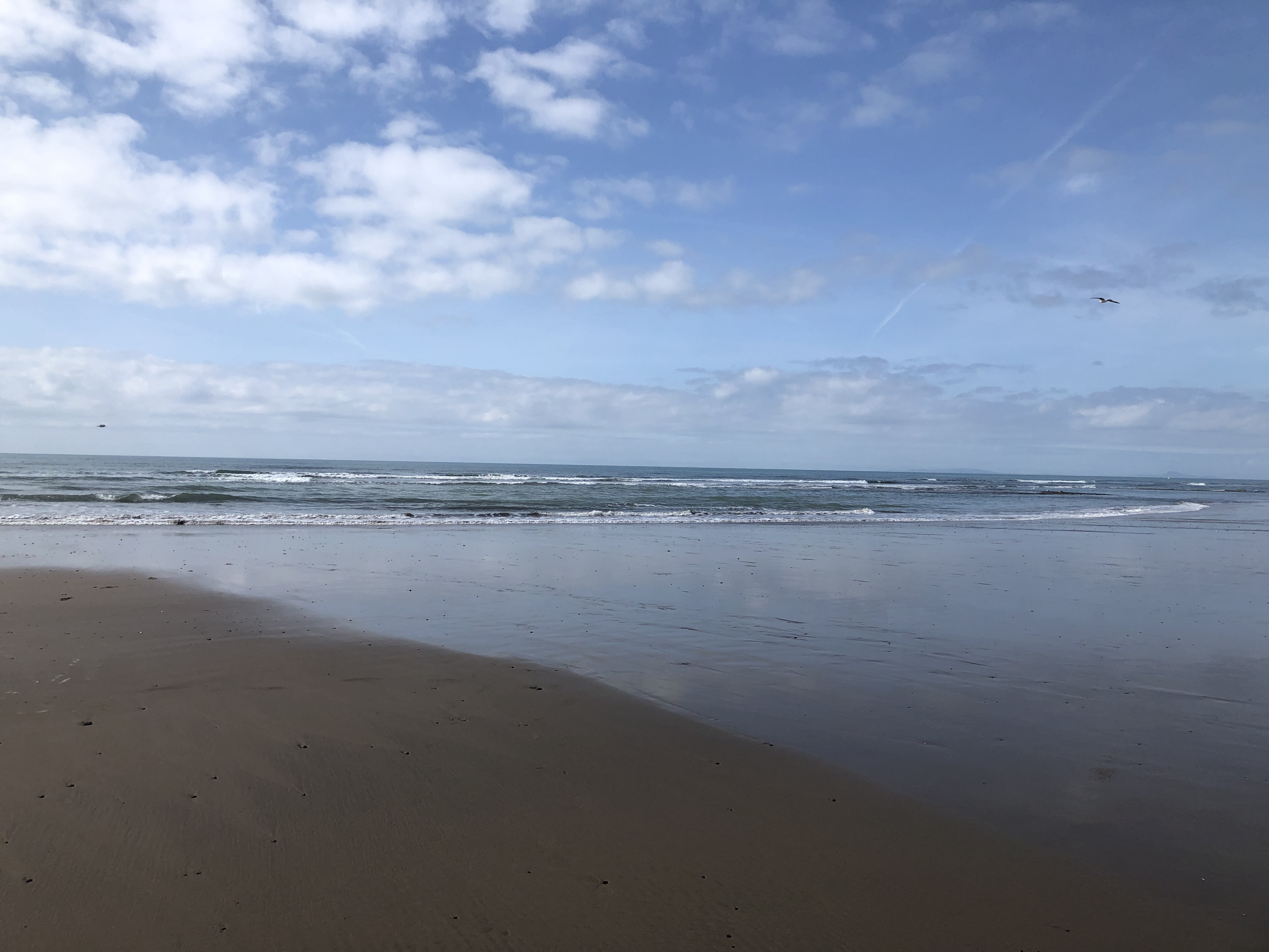 The Hieronymus Bosch Method of Recorder Playing