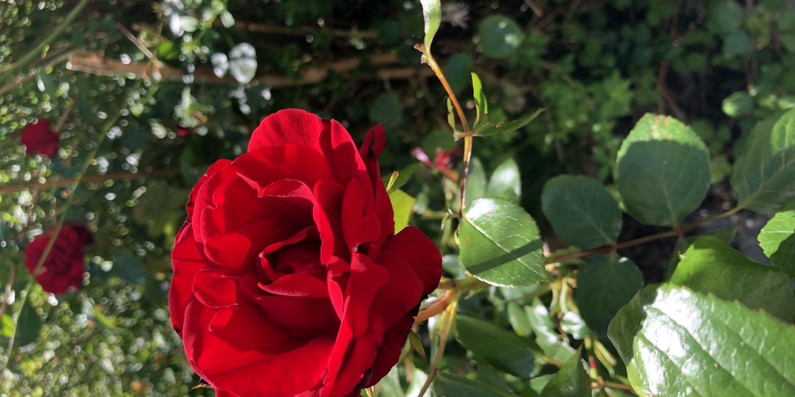 Deep Dive Series: Interpretation for Beginners Part 3