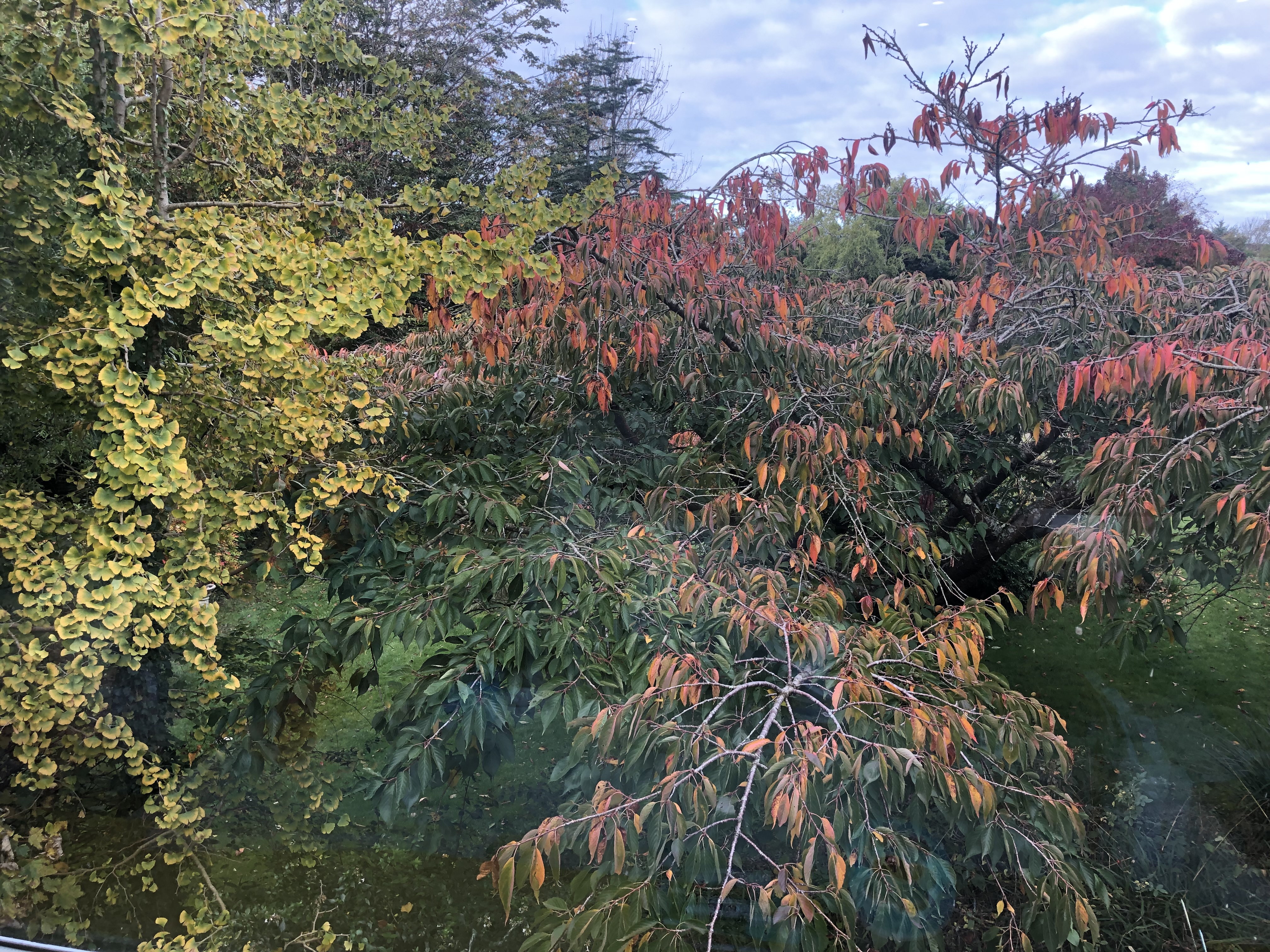 Testing Emails Workshop